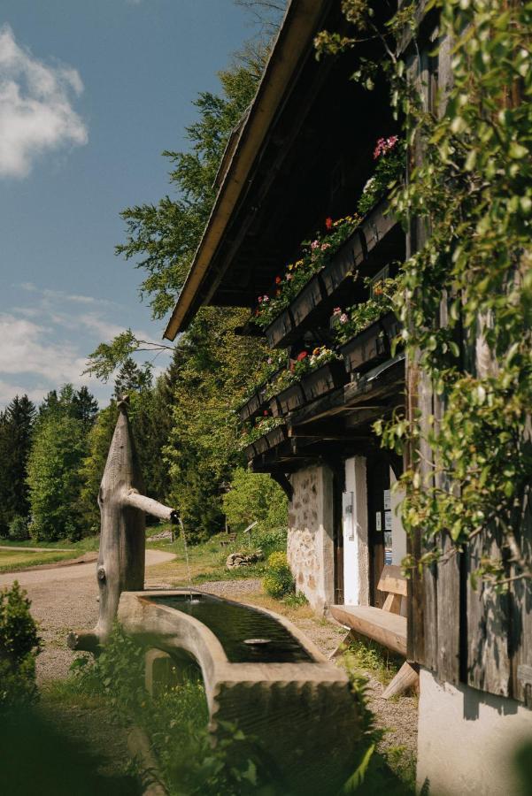 Der Hirschen Hotell Sankt Märgen Exteriör bild